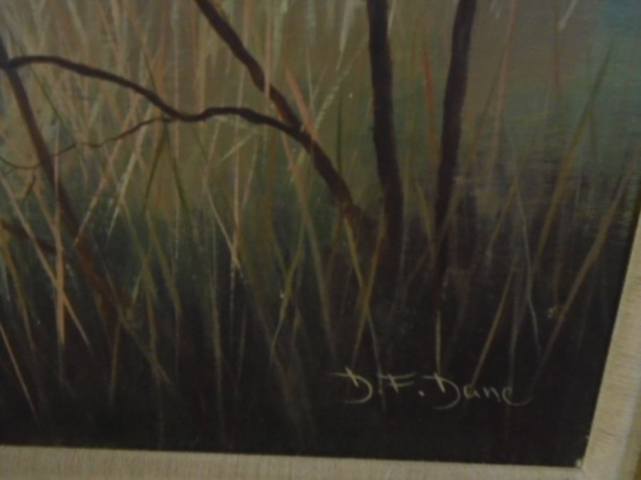 D.F Dane oil on canvas of a woodland scene 42x31" - Image 2 of 4