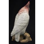 Royal Dux galah figure