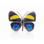 Enamel and silver gilt butterfly brooch