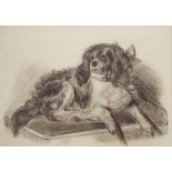 N.Ryan (English School) framed Dog picture