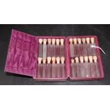 Vintage leather cased Homeopathy set