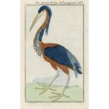 Buffon, Georges Louis Le Clerc de: Naturgeschichte der Vögel