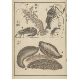 Hokusai, Katsushika: Karada-ga fu III. Zen. Japanisches Blockbuch mit 60 Seit...