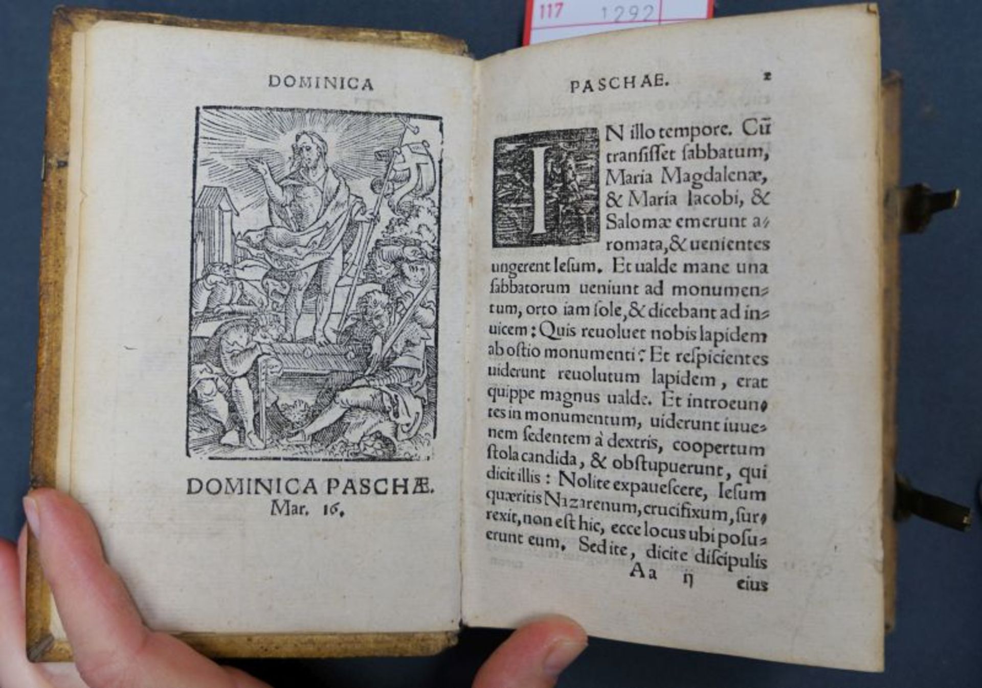 Hoffmeister, Johann: Homiliae in Evangelia. Tomus secundus (pars aestivalis)