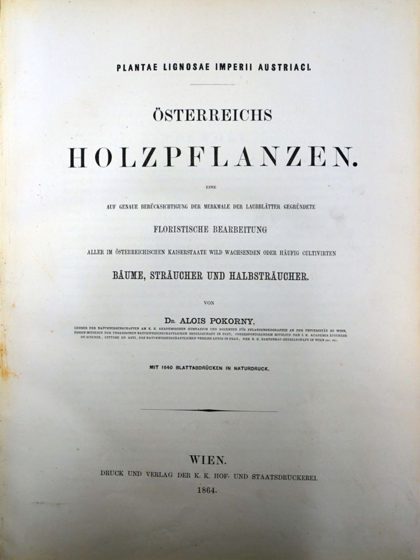 Pokorny, Alois: Plantae lignosae imperri austriaci. Österreichs Holzpfla...