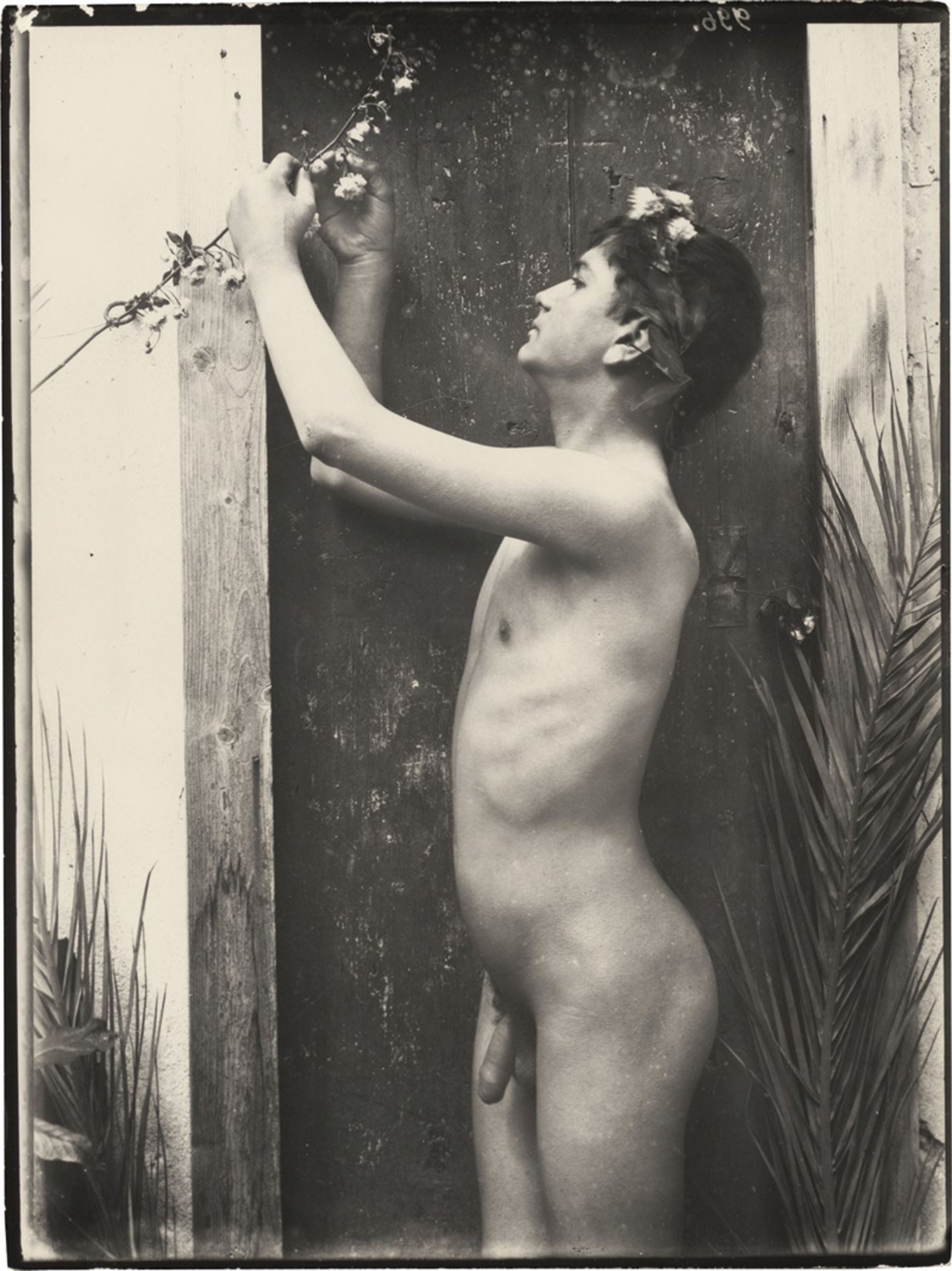 Gloeden, Wilhelm von: Young male nude in doorway with blossom branch