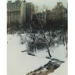 Color Photography: Central Park, New York in winter
