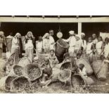 British India: Tea plantations and harvest
