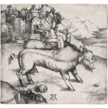 Dürer, Albrecht: Die Missgeburt eines Schweines