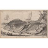 Flamen, Albert: Poissons de Mer