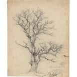 Grove, Peter Frederik Nordahl: Studie eines knorrigen Baumes