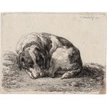 Reinhart, Johann Christian: Schlafender Jagdhund