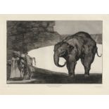 Goya, Francisco de: Disparate de Bestia
