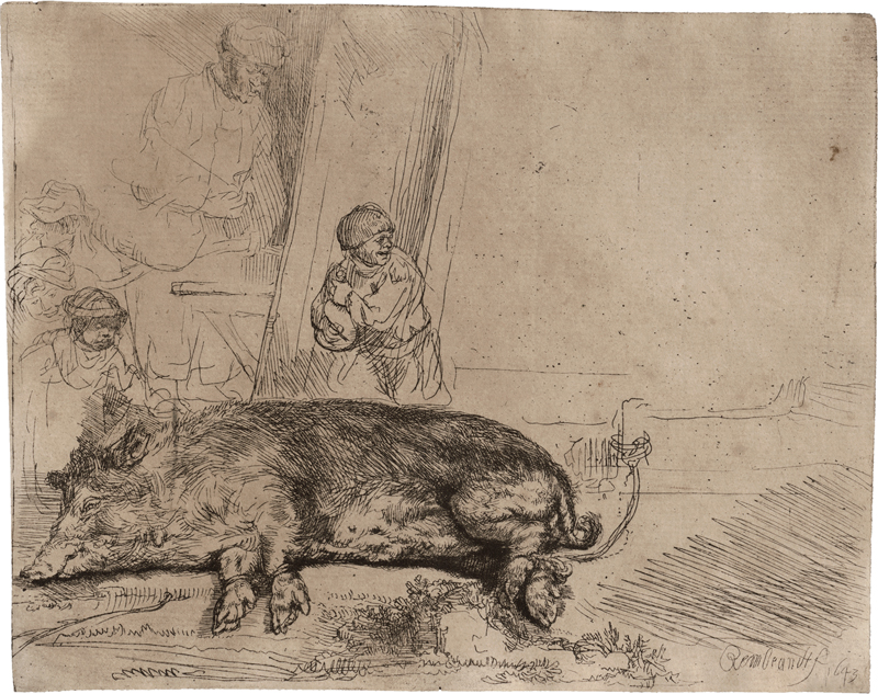 Rembrandt Harmensz. van Rijn: Das schlafende Schwein