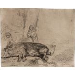 Rembrandt Harmensz. van Rijn: Das schlafende Schwein