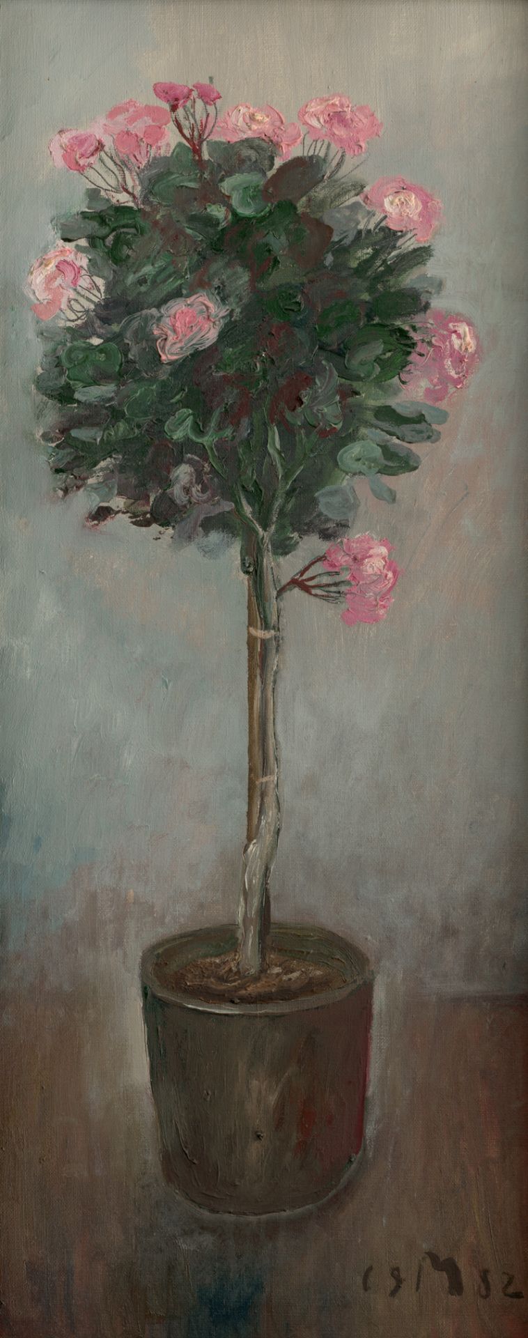 Mühlenhaupt, Kurt: Rosa Buschröschenbaum