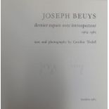Beuys, Joseph: Joseph Beuys dernier espace avec introspecteur