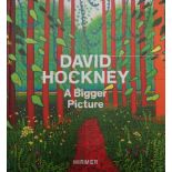 Hockney, David: David Hockney, a bigger picture