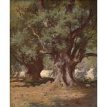 Verschuur d. J., Wouterus: Alte Olivenbäume im Mezzogiorno