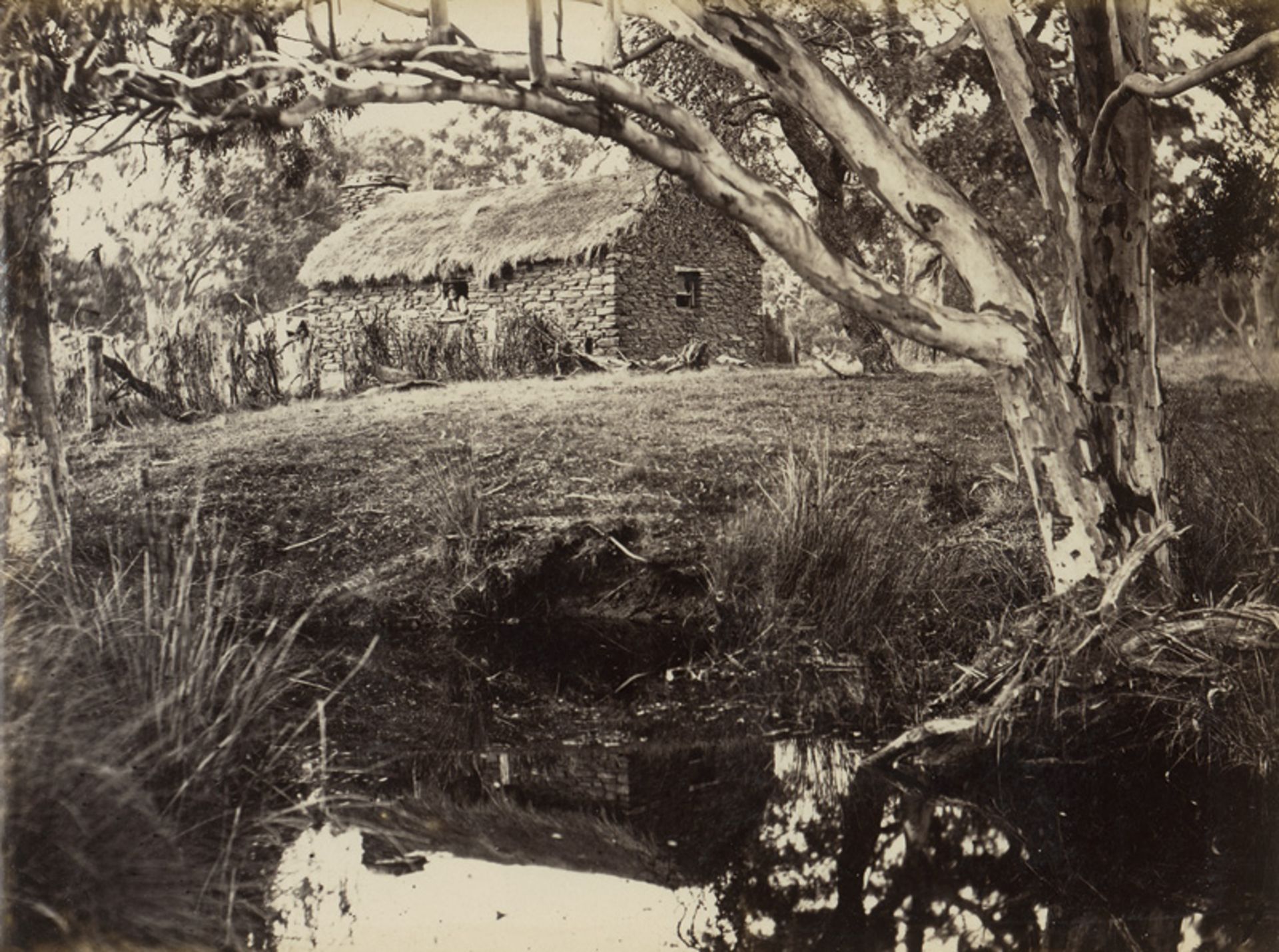 Australia / New Zealand: Indigenous people, nature and landscapes of Australia an...