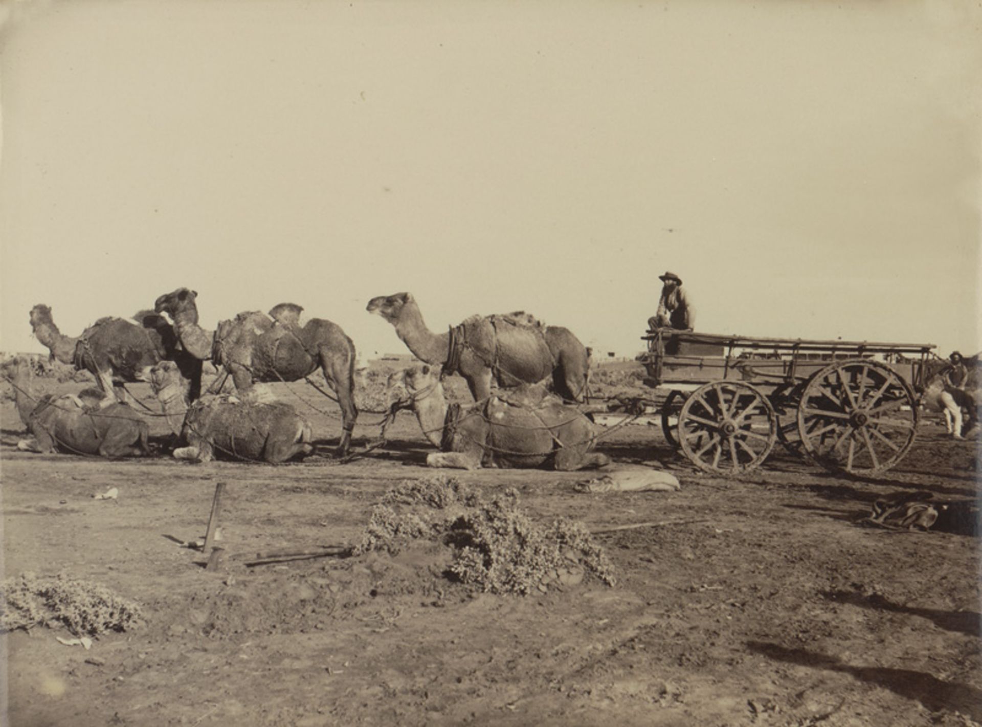 Australia / New Zealand: Indigenous people, nature and landscapes of Australia an... - Image 2 of 6