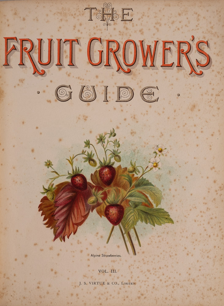 WRIGHT, John - The Fruit Grower's Guide : 6 vol. set, 45 chromo-lithograph plates, org. - Image 2 of 5