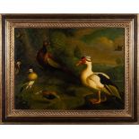 Style of Melchior de Hondecoeter [20th Century] - Water fowl, ducks,