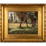 British School 19/20th Century- Sunlight through a meadow,:- oil on canvas, 30 x 40cm.