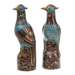 A pair of Chinese cloisonne models of pheasants: decorated with naturalistic plumage on a turquoise