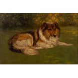 Edgar H Fischer [19/20th Century]- Collie dog resting,:- signed and dated 1907, oil on board,
