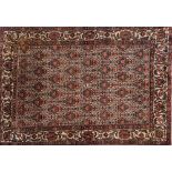 An Afshar rug:, the beige field with a repeated geometric floral design,