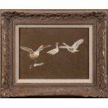 Thomas Blinks [1860-1912]- Geese studies,:- signed with a monogram, oil on board, 19 x 25.5cm.