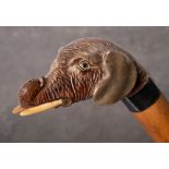 An Edwardian silver mounted carved elephant head walking cane, maker Robert Pringle,