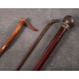 Three 19th century walking sticks: comprising a small cane with carved dog's head pommel,