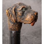 A late 19th/early 20th century Continental carved dog's head walking cane: possibly Bavarian,