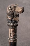 A 19th century Russian silver spaniel's head mounted ebony walking cane: the dog's head inset with