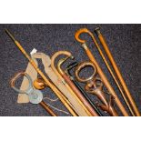 A group of various walking sticks and canes,: including two silver mounted examples etc.