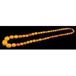 A graduated amber bead single-string necklace: with 52 oblong beads graduated from approximately