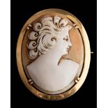 An oval shell cameo portrait pendant/brooch: depicting classical woman approximately 34mm long x