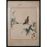 A Chinese painting, signed He Qiyuan: of a bird with brown and grey plummage perched on bamboo,