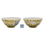 A fine Chinese yellow-ground famille rose bowl: the exterior enamelled with numerous blooms