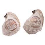A pair of cameo carved shells: one decorated with Venus in a chariot drawn by swans,