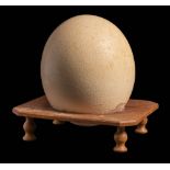 An undecorated Ostrich egg on wooden stand: