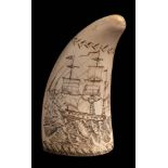 An erotic scrimshaw decorated tooth:, one side with an image of a half dressed woman,