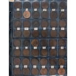 A collection of four sheets of copper and bronze pennies: some better grades.