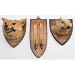 A taxidermy fox mask by W T Johns and Son, Bideford: on shield plinth 'Weach Wood. Oct 14th .