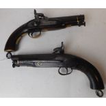 A pair of mid 19th century Sea Service percussion pistols: with 15cm steel barrels,