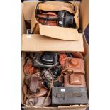 A quantity of various vintage cameras including: Olympus, Ricoh and others.