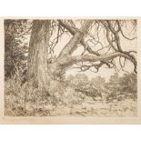 PIMLOTT, Philip : A collection of 32 drypoint etchings, mostly signed in pencil in the margin.