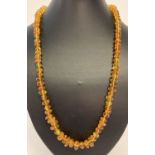 A graduating rounded chip Baltic amber necklace with a hook and eye clasp.